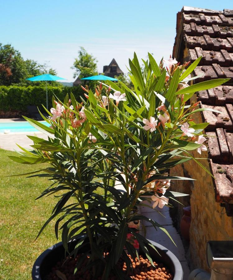 Le Clos De La Musardise - Gites De Charme Avec Piscine Chauffee Salignac Eyvigues Экстерьер фото